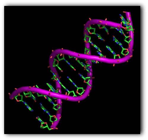 Molecula de ADN